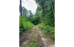 00 Millerton Road, Branch, MI 49402