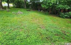 505  N Walnut  ST, Morrilton, AR 72110