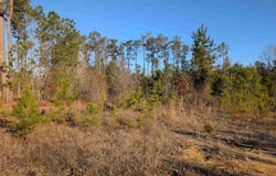 7884 Winnsboro Road, Columbia, SC 29203