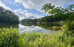 596 COUNTY ROAD 199, CLANTON, AL 35045