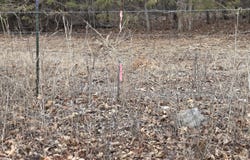 N County Road 96, Walnut Grove, MO 65770