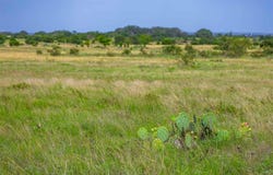 50ac FM 243, Bertram, TX 78605