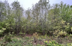 1660 Main Road, Greenbush, ME 04418