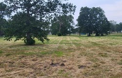 Tbd CR 1730, Yantis, TX 75497
