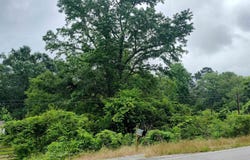 3640 LOGAN MARTIN DAM ROAD, CROPWELL, AL 35054