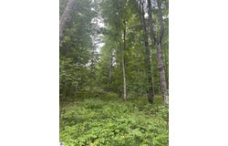 11629 S Tower, Maple City, MI 49664