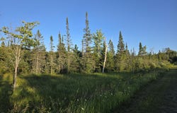 S Bound Rd, Rudyard, MI 49780
