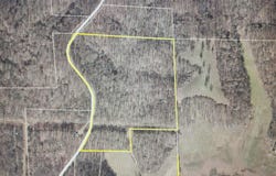 0 Brushy Fork Road, Tell City, IN 47586