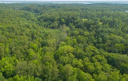 Lot 2 SALEM CHURCH ROAD, KING GEORGE, VA 22485