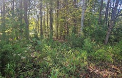 Dodgetown Road, Walnut Cove, NC 27052