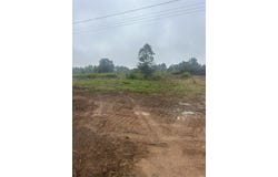 Highway, Pangburn, AR 72121
