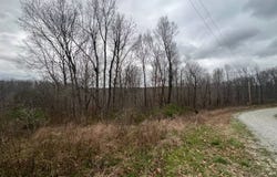 0  Shine Dr, Waverly, TN 37185
