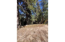 Mid Ln, Twin Peaks, CA 92391