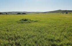 1720 LOWER BERN Rd, Bern, ID 83220