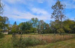 Lemon Road, Bancroft, MI 48414