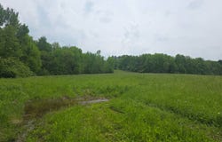 0WP County Rd 34, Norwich, NY 13815
