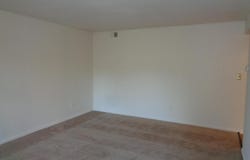 6 BAILIFFS CT #301, LUTHERVILLE TIMONIUM, MD 21093