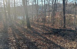 17 Wagon Creek Loop, Creal Springs, IL 62922