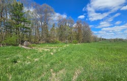 00 Cooper Rd, Hammond, NY 13646