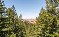1401 Nicasio Valley Road, Nicasio, CA 94946