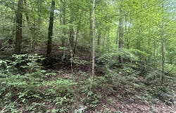 Lot 27 Rock Springs Road, Celina, TN 38551