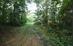 0 Kings Mill Road Tract B, Wrens, GA 30833