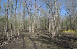 TBD Atchafalaya Hwy., Breaux Bridge, LA 70517