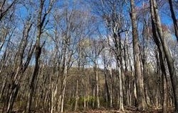0 APPLEWAY, SAINT THOMAS, PA 17252
