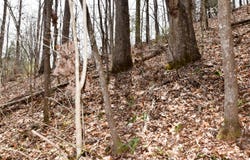 1897 Laurel Creek Rd, Road, Vanceburg, KY 41179