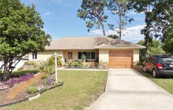 207 S Desoto Street, Beverly Hills, FL 34465