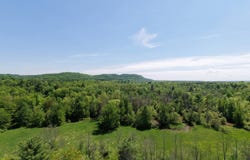 1162 Moore Rd, Greenwich, NY 12834