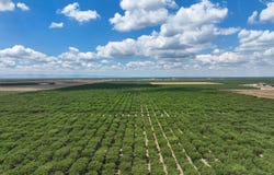 Kimberlina Road, Shafter, CA 93263