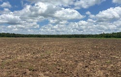 0 Highway 8 North Tract, Philipp, MS 38950