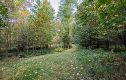 20836 Fisher Rd, Woodcock, PA 16335