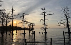 380 Beech Bay Road, Roper, NC 27970