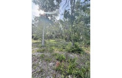 NE Oakwood Way, Pinetta, FL 32350