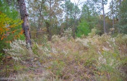 6099 HARVARD Avenue, Keystone Heights, FL 32656