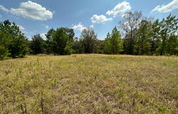 0 Ford Road, Many, LA 71449