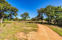 7688 Hwy 261 Highway, Buchanan Dam, TX 78609