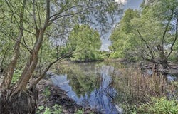 CR 318, Navasota, TX 77868