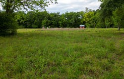 South Boulevard, Chipley, FL 32428