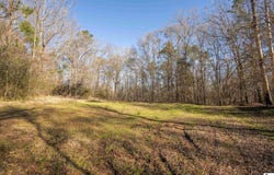 RODNEY ROAD, LORMAN, MS 39069