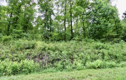 1124 Lick Creek Boat Dock Loop, Parsons, TN 38363