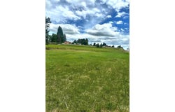 421 Merrill Ave, Craigmont, ID 83523