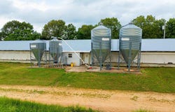 2003 Cold Creek Lane, Cave City, AR 72521