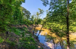 23319 fm 343, Cushing, TX 75760