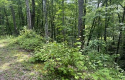 Lot 1,4-6 Old Cartertown Road, Gatlinburg, TN 37738
