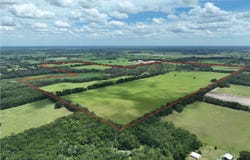 7352 SE 175th Avenue, Morriston, FL 32668
