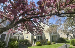 210 Billington Lane, Brewster, MA 02631