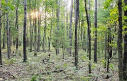 W Bauer Road, Black River Falls, WI 54615